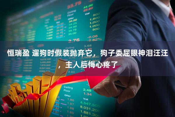 恒瑞盈 遛狗时假装抛弃它，狗子委屈眼神泪汪汪，主人后悔心疼了