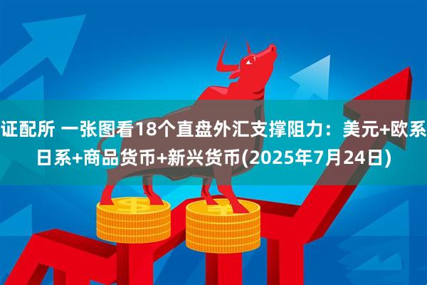 证配所 一张图看18个直盘外汇支撑阻力：美元+欧系日系+商品货币+新兴货币(2025年7月24日)
